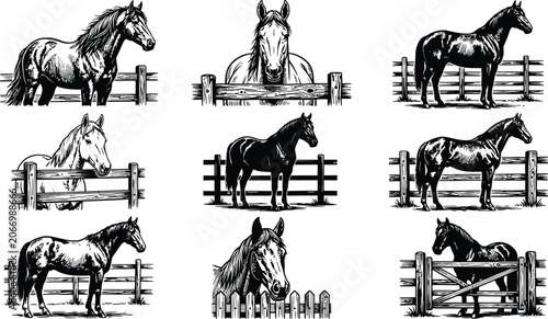 Set of nine black and white horse illustrations with farm fence and rural landscape elements