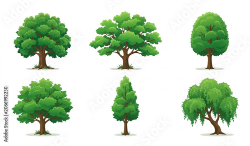 Collection of realistic green deciduous and ornamental tree illustrations isolated on white background vector set