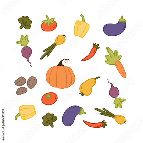 Cute hand drawn vegetable collection. Vector set with farm fresh produce in cartoon stylisation. Colorful illustration pack for kids. Organic doodles