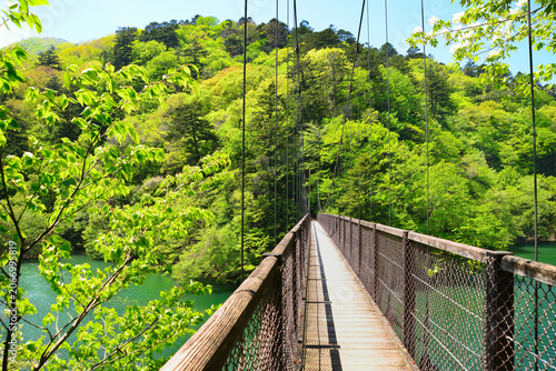 Fotografía 回顧の吊り橋（みかえりのつりばし）　那須塩原市関谷字西山国有林