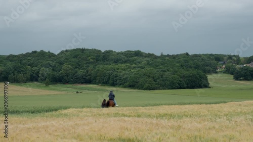 An equestrian rider sits on a brown horse while a young woman walks next to them across a wide green meadow toward a dense forest, showcasing rural active lifestyle and outdoor hobby tourism.