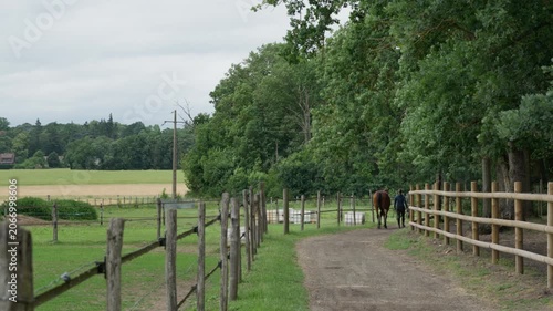 A woman walks a brown horse down a path at an equestrian stable yard past wooden fences, representing animal husbandry, horse care, equine training, and rural countryside ranch lifestyle.