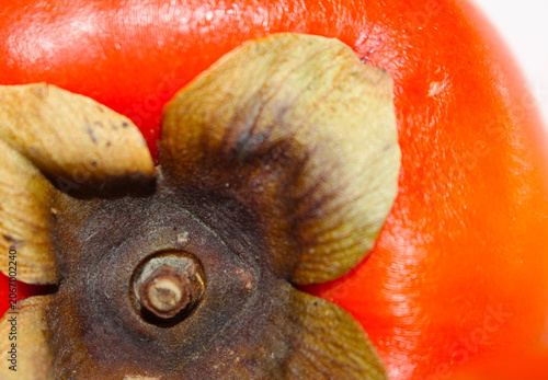  Close-up of orange fruit skin texture. organic persimmon details. Details of persimmon.