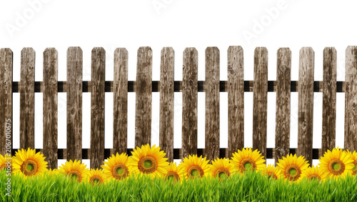 Foto Isolated rustic wooden picket fence with vibrant green grass and bright yellow s