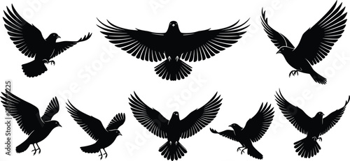 Photos Flying pigeons and doves in different poses, vector illustration