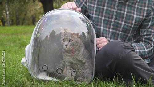 Close-up of a cat inside a transparent backpack carrier while a man sits on grass in a park. Modern bubble pet backpack provides safe, ventilated and comfortable transport for outdoor walks.