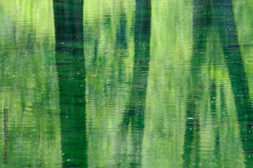 Abstract Green Forest Reflections on Calm Summer Water