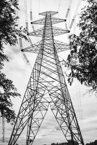 Low angle black and white view of electricity pylon between trees