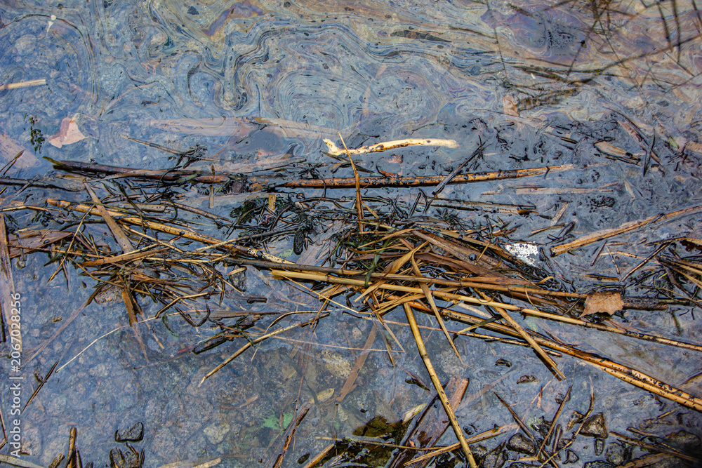 Fototapeta premium The petrolium signs on water surface which shows the ecological and environmental issues 