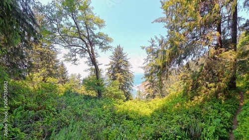 Rising Over Peekaview of Coast from Trail in Redwood National Park