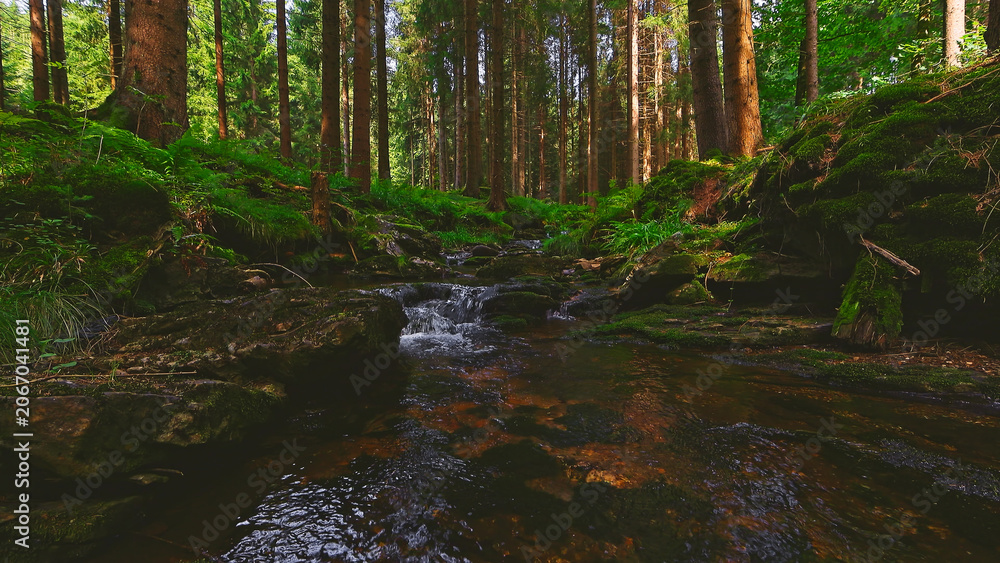 Naklejka premium Crystal clear forest stream flowing through lush green woodland. Peaceful natural landscape with moss covered rocks, fresh water and tranquil wilderness atmosphere.