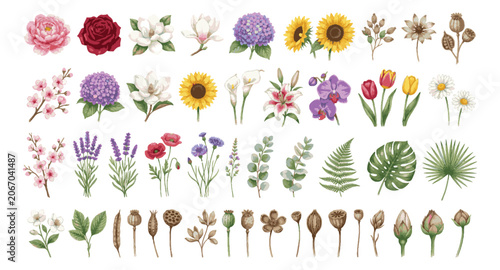 Watercolor floral collection with 40 botanical elements, vintage flower illustrations and green leaves vector set, elegant garden blossoms for wedding design
