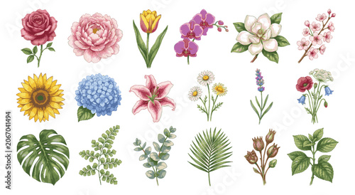 Vintage watercolor floral collection, 18 botanical flower and leaf vector elements, elegant hand drawn garden blossoms for wedding invitations