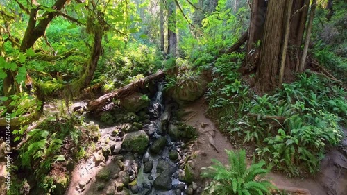 Trillium Falls in Redwood National Park in Summer