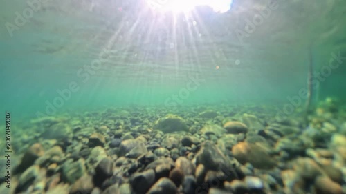 Underneath and Rising Above Smith River in Northern California