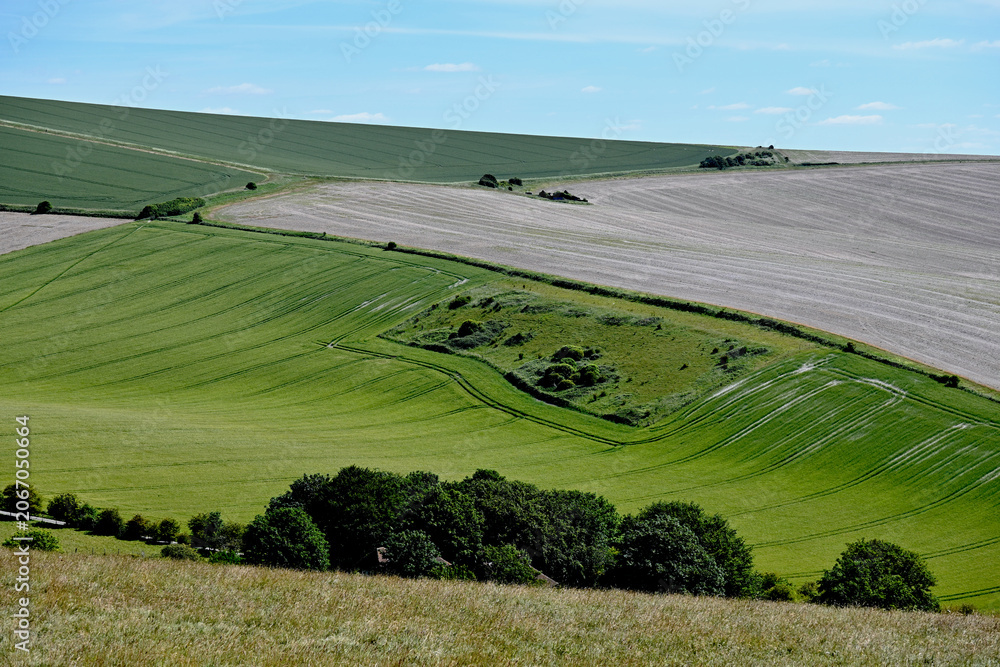 Naklejka premium Patchwork Farmland Across Rolling Countryside Hills