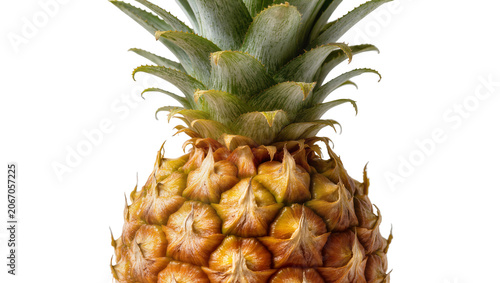 Bild auf Leinwand Isolated fresh tropical ripe pineapple fruit with green spiky leaves, close-up s