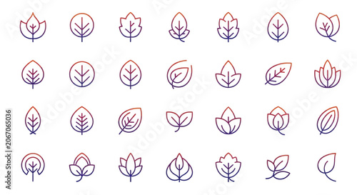 Set of minimalist linear leaf icons in gradient colors perfect for design