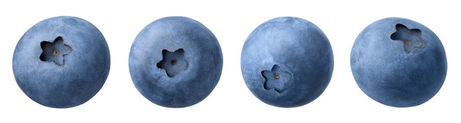 Collection or set of various fresh blueberries on white background