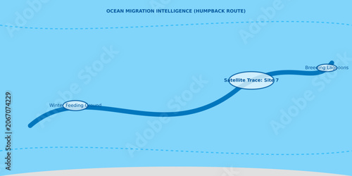 Whale migration paths ocean route analytics illustrate sea creature movement