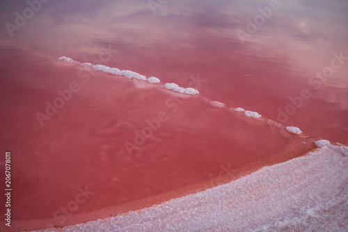 Fotografía Abstract line of white salt crystals in pink water