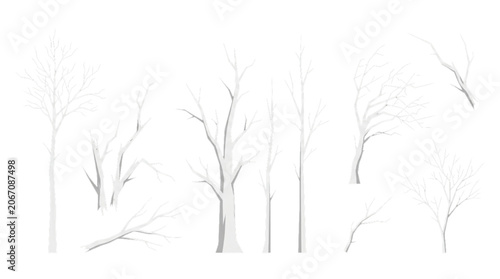 Tableau sur toile Winter bare trees CAD models, isolated on white background, high detail