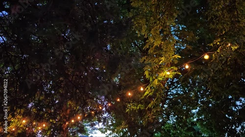 Outdoor string lights glowing amongst trees at dusk  