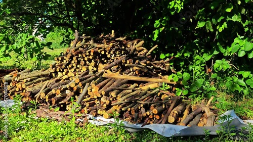 Stack of firewood logs in green outdoor setting  