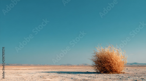 Tumbleweed in the desert