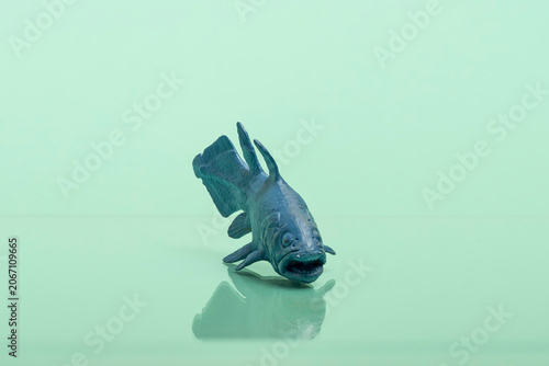 Coelacanth Toy Figure Photographed on Colored Background — Living Fossil Marine Life