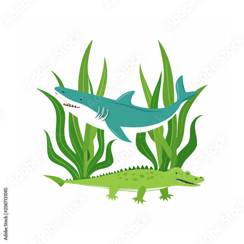 Cartoon Shark and Crocodile with Seaweed