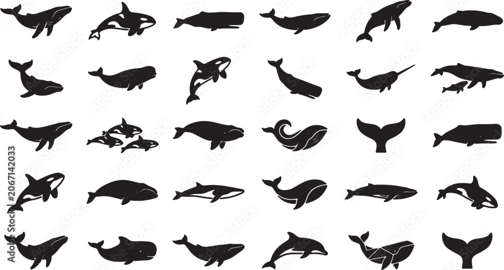 Εκτύπωση καμβά Collection of various whale and dolphin silhouettes on transparent background