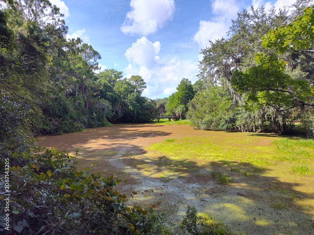 Obraz premium Lake Tarpon is the largest freshwater lake in the Tampa Bay area, covering over 2,500 acres. Located in Pinellas County near Tarpon Springs and Palm Harbor