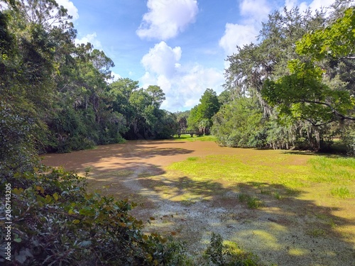 Lake Tarpon is the largest freshwater lake in the Tampa Bay area, covering over 2,500 acres. Located in Pinellas County near Tarpon Springs and Palm Harbor