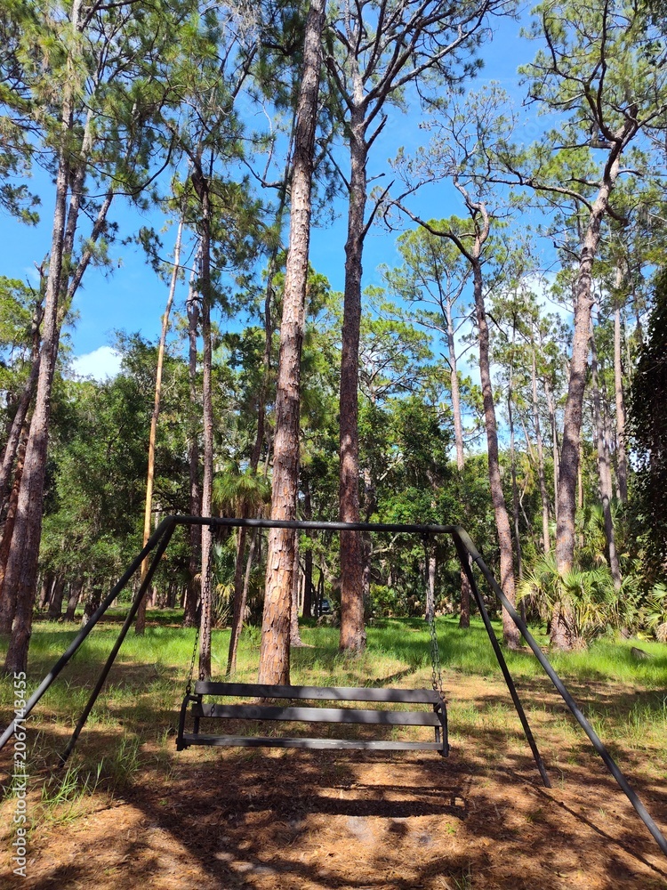 Fototapeta premium John Chesnut Sr park close to Lake Tarpon. Lake Tarpon is the largest freshwater lake in the Tampa Bay area, covering over 2,500 acres. Located in Pinellas County near Tarpon Springs and Palm Harbor