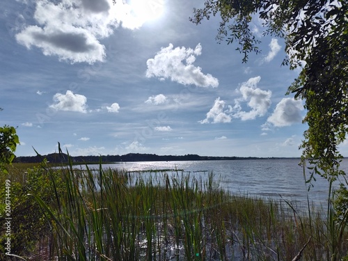 Fotografía John Chesnut Sr park close to Lake Tarpon