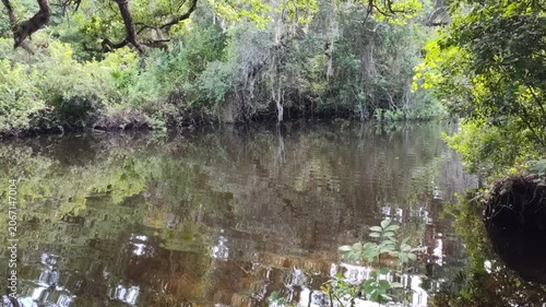 John Chesnut Sr park close to Lake Tarpon. Lake Tarpon is the largest freshwater lake in the Tampa Bay area, covering over 2,500 acres. Located in Pinellas County near Tarpon Springs and Palm Harbor