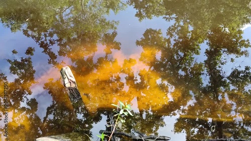 John Chesnut Sr park close to Lake Tarpon. Lake Tarpon is the largest freshwater lake in the Tampa Bay area, covering over 2,500 acres. Located in Pinellas County near Tarpon Springs and Palm Harbor