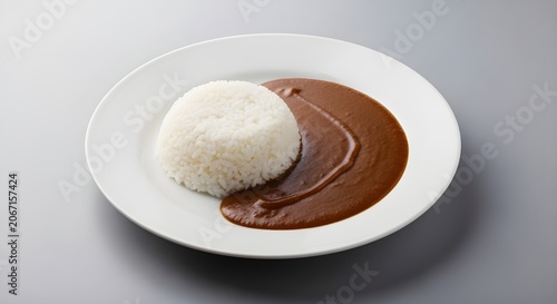 Traditional Japanese Curry with Steamed White Rice on a Minimalist Plate
