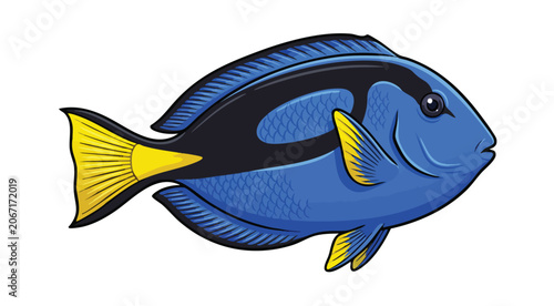 Bild auf Leinwand Colorful blue and yellow tropical fish illustration on white background