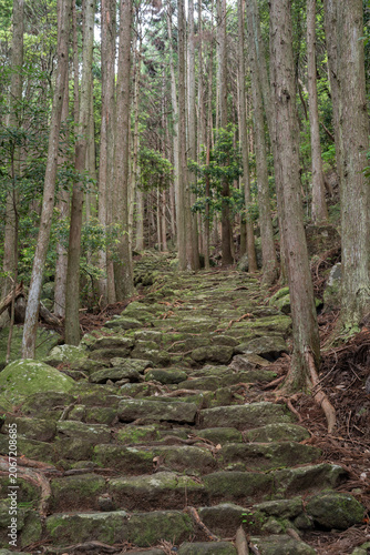 日本風の旅行写真、自然風景と文化歴史