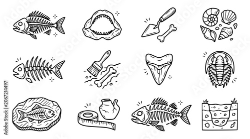 Tableau sur toile Doodle Icons: Fossils, Paleontology, Archaeology, Excavation, Marine Life, Ancie