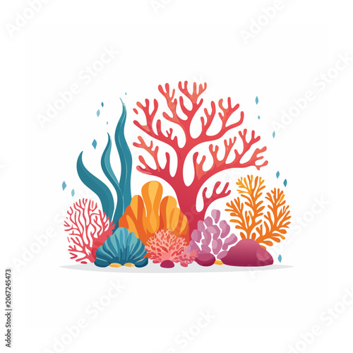 Colorful Coral Reef Illustration on White Background