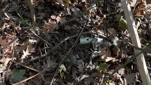 Unexploded cluster submunition in forest leaf litter, marked by red-and-white hazard stakes during humanitarian demining. Lethal explosive remnant of war