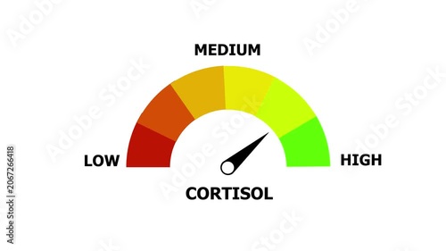 A semi-circular gauge displaying the cortisol level with a needle pointing towards the medium range, featuring color-coded segments from red for low to green for high, set against a clean white