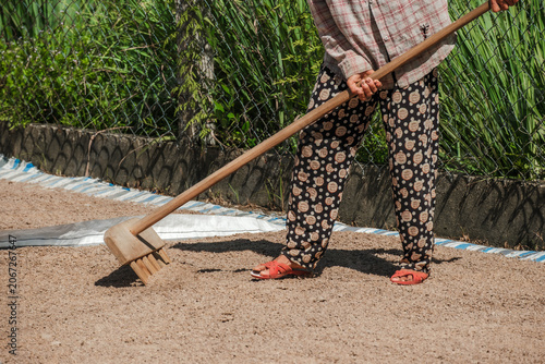 Closeup of a worker using a wooden rake to spread grains on a blue and white striped tarp