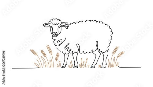 фотографія One continuous line illustration of an Sheep animal , isolated on white background