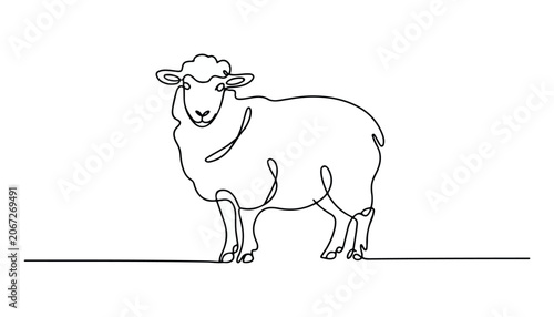 Fotografija One continuous line illustration of an Sheep animal , isolated on white background