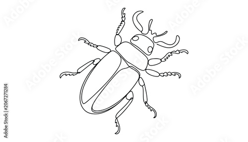 Φωτογραφία One continuous line illustration of an beetles animal , isolated on white background