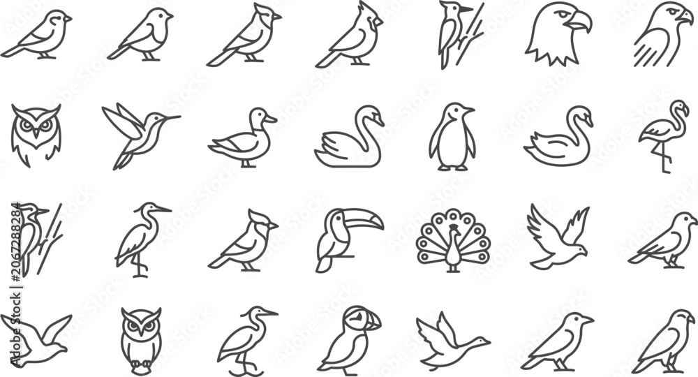 Fototapeta premium Collection Of Bird Line Icons On A White Background